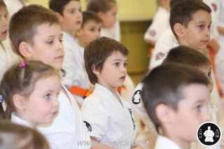 занятия каратэ для детей (41)